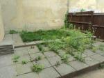 Additional Photo of Birkbeck Road, Sidcup, Kent, DA14 4DB